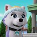 Paw Patrol - Helfer auf vier Pfoten Thumbnail
