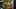 Video Platzhalter Video Platzhalter
