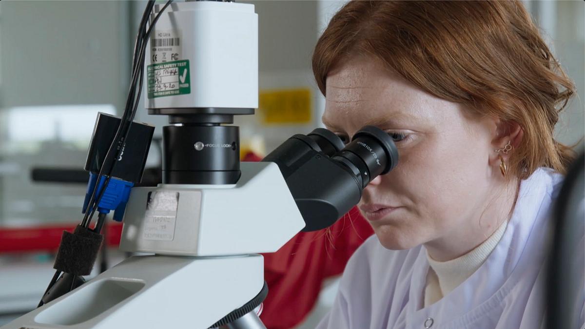 expert witness - forensiker auf spurensuche