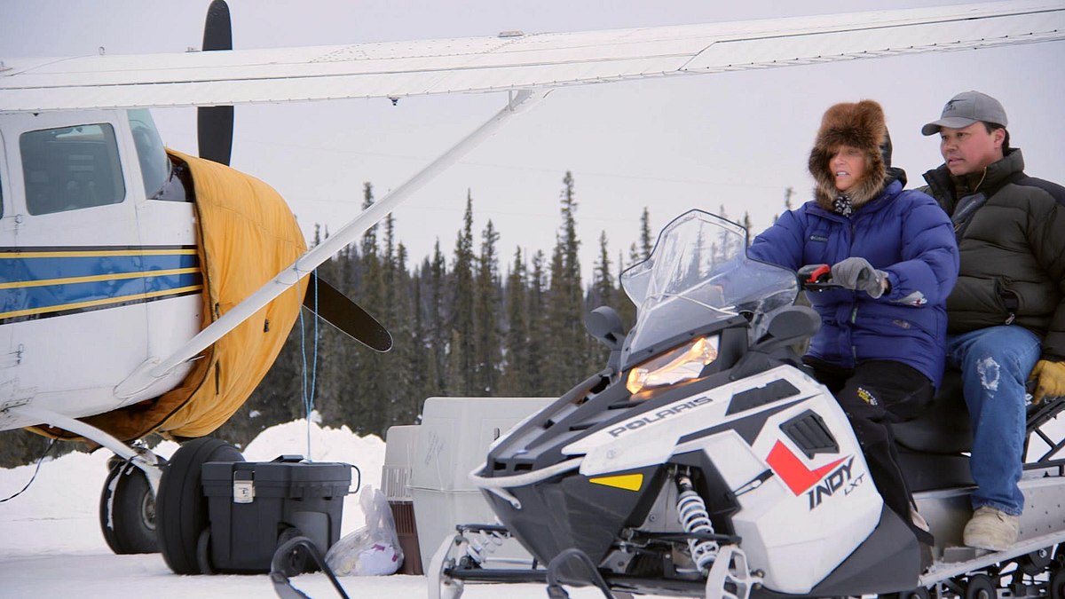 dr. dee: tierärztin in alaska