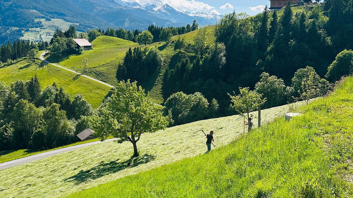 gsunder sommer in österreich - die kraft der bewegung