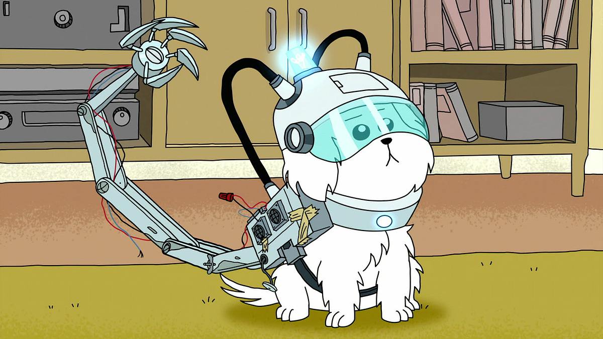 Rick and Morty rick and morty