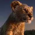 Der König der Löwen Thumbnail