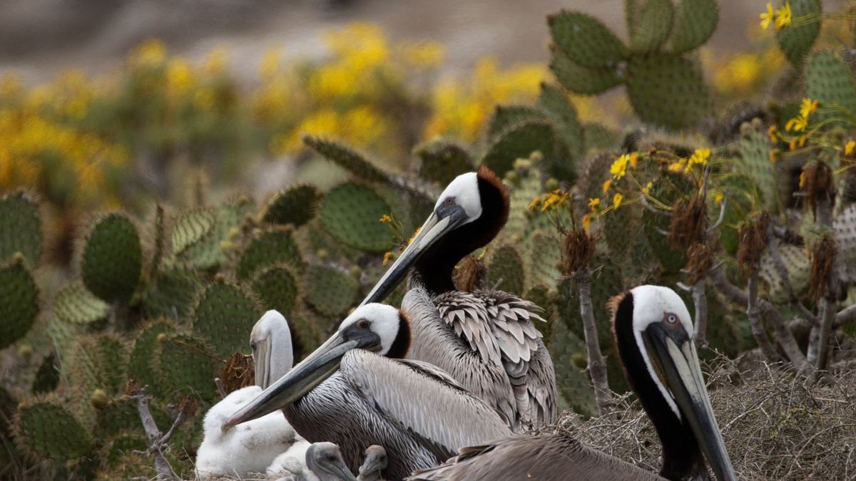 amerikas nationalparks
