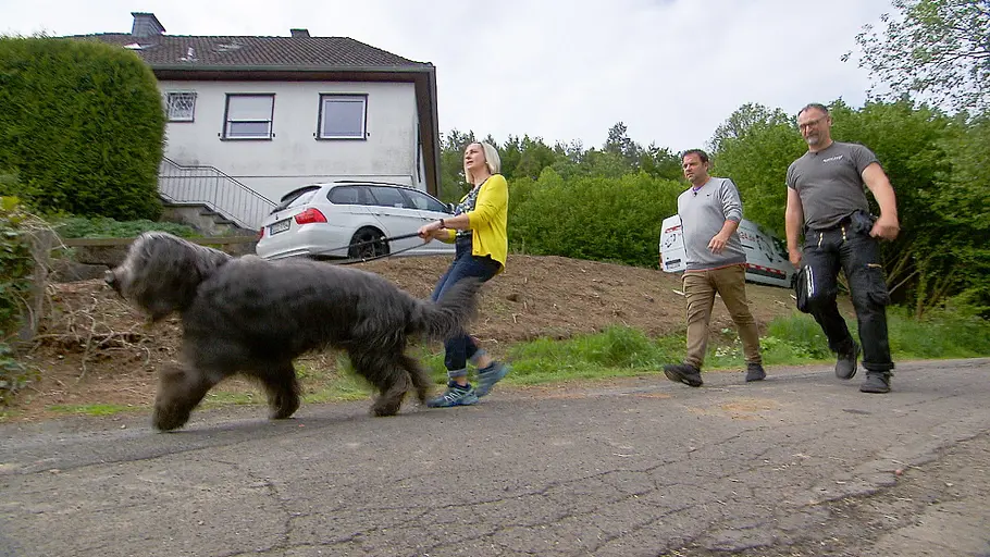 Der Hundeprofi der hundeprofi
