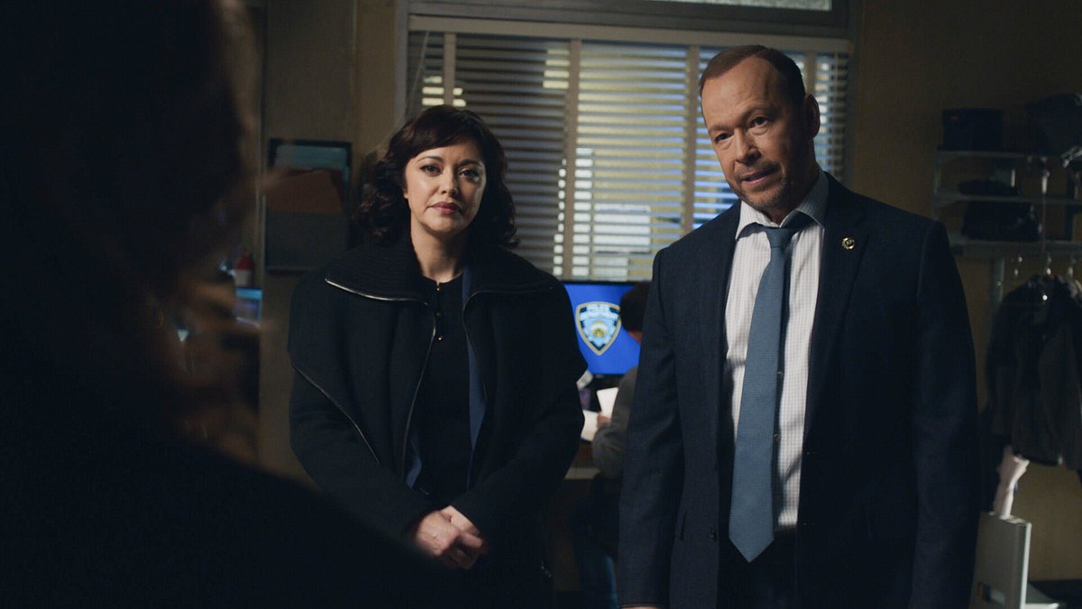 blue bloods - crime scene new york