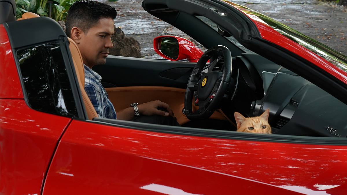 magnum p.i.