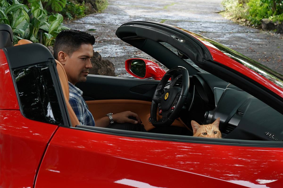 magnum p.i.