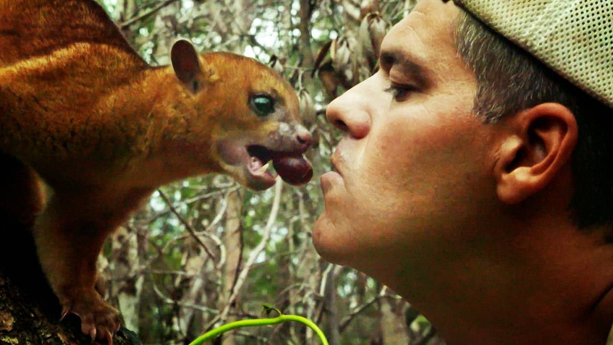 wild frank - abenteuer in mexiko