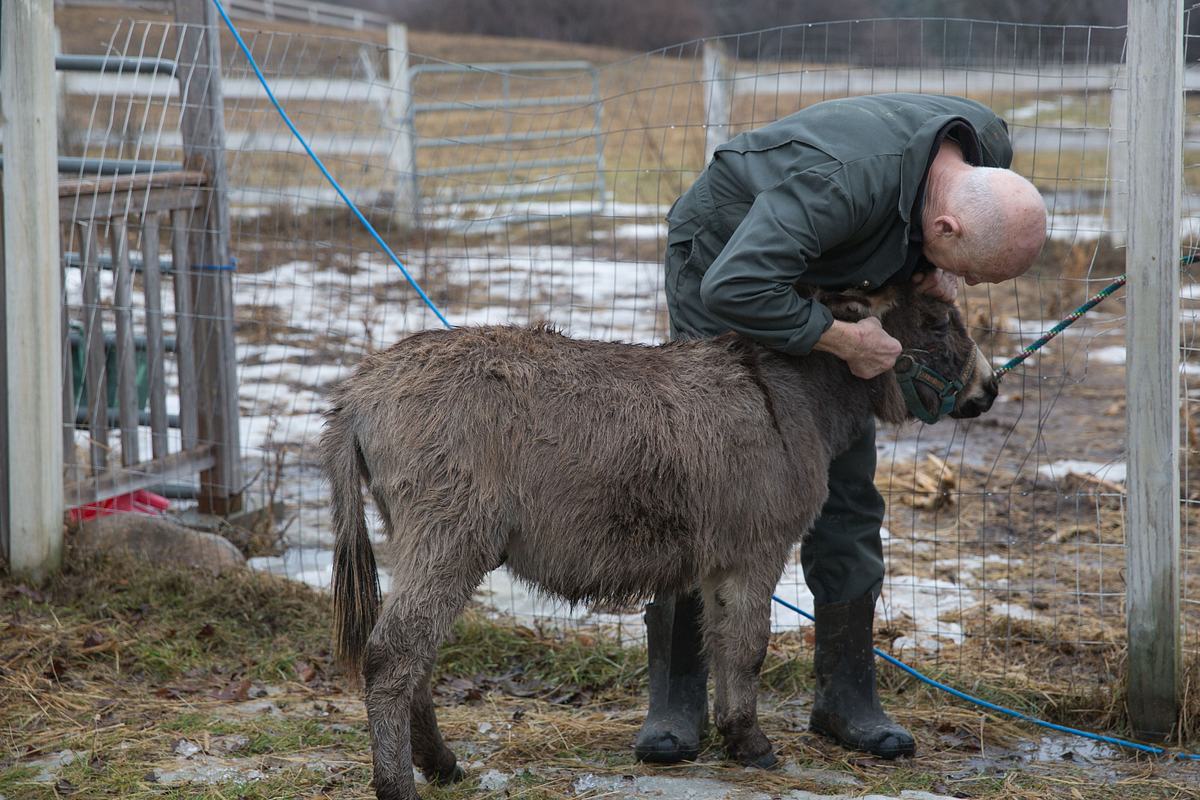 Der unglaubliche Dr. Pol der unglaubliche dr. pol