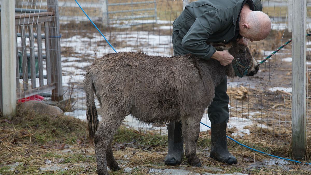 der unglaubliche dr. pol