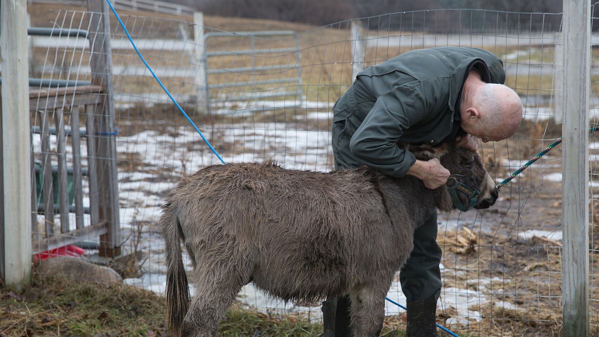 der unglaubliche dr. pol