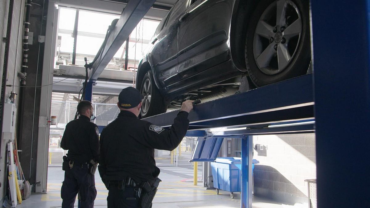 flughafen new york - kampf den schmugglern