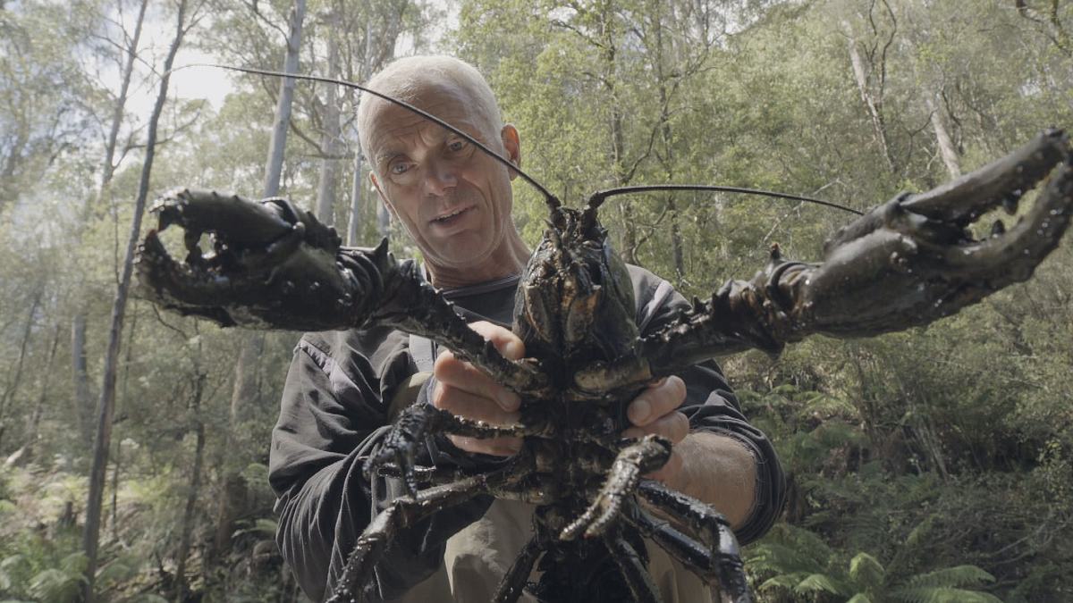 dark waters mit jeremy wade