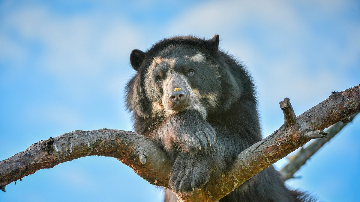 zoo und so - tierisch wild!