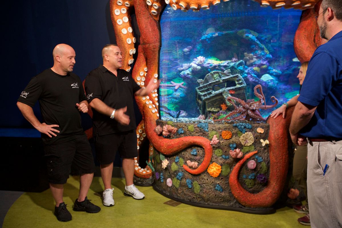 Die Aquarium-Profis die aquarium-profis