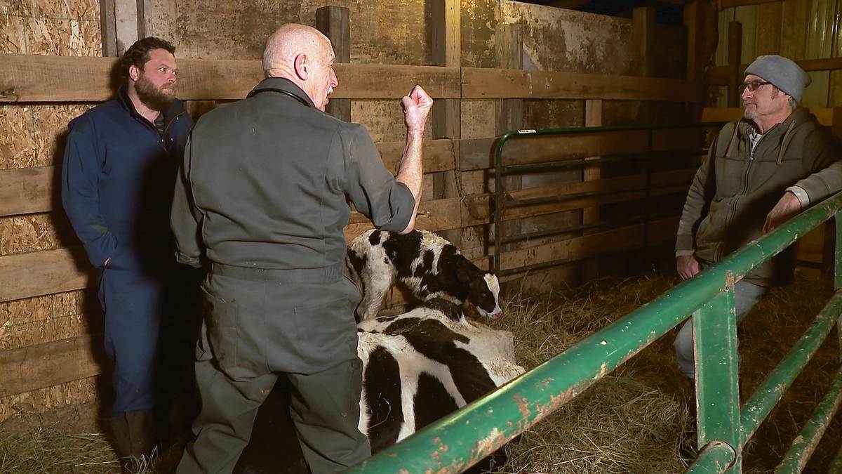 der unglaubliche dr. pol