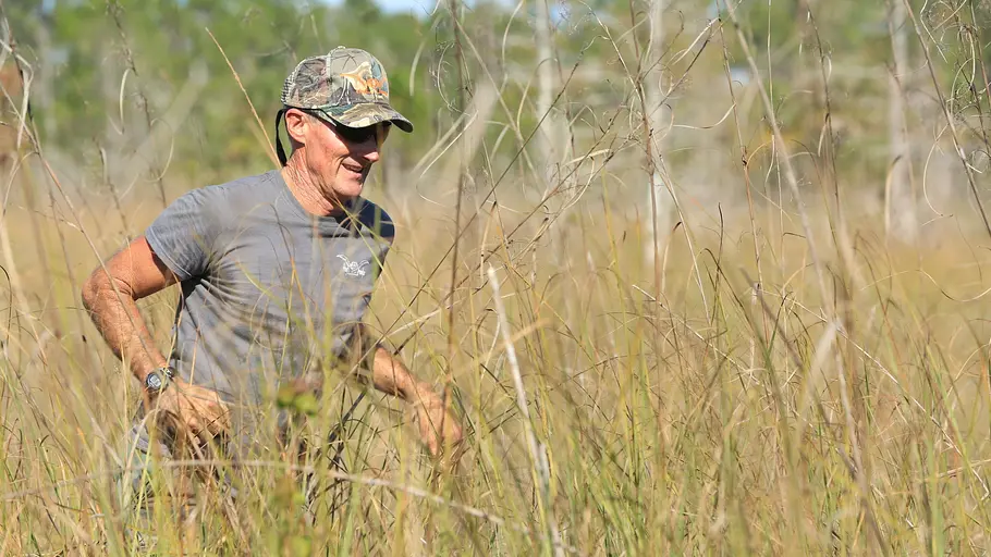 die pythonjäger - einsatz in den everglades