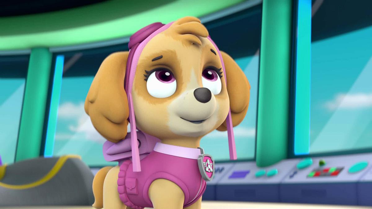 paw patrol - helfer auf vier pfoten