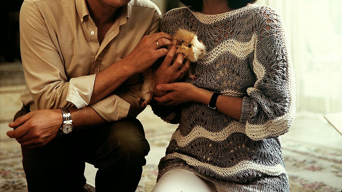 ich heirate eine familie