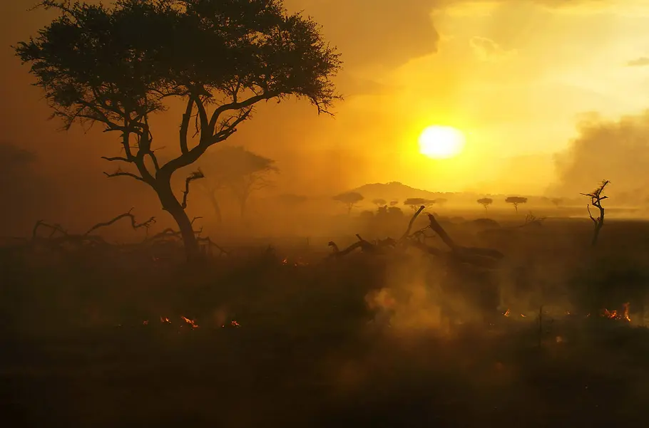 Serengeti - Wilde Geschichten aus der Savanne serengeti - wilde geschichten aus der savanne