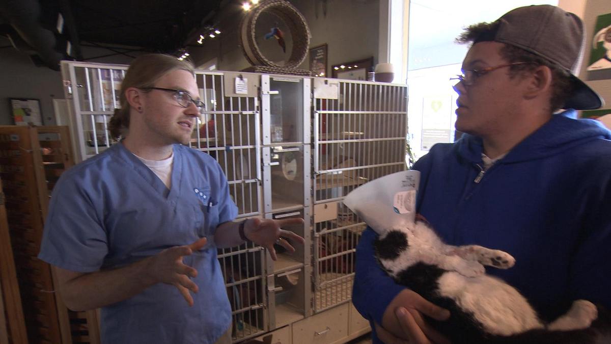 tierarzt dr. jeff