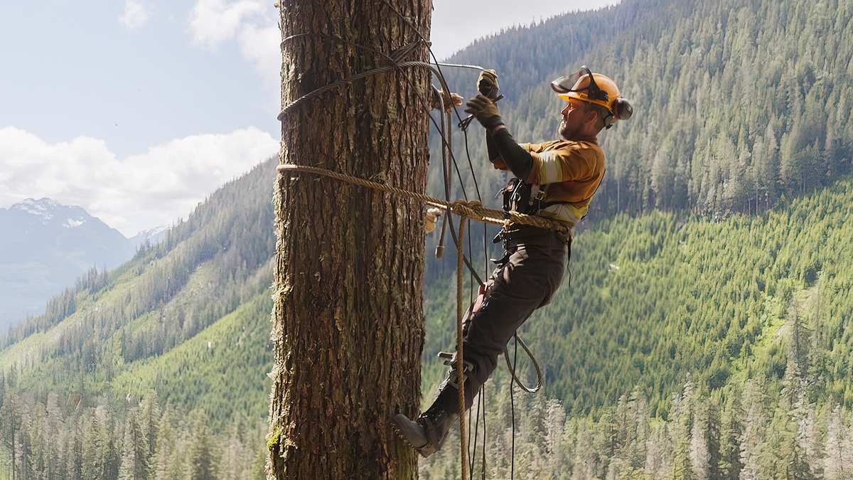The Last Woodsmen - Holzfäller am Limit the last woodsmen - holzfäller am limit