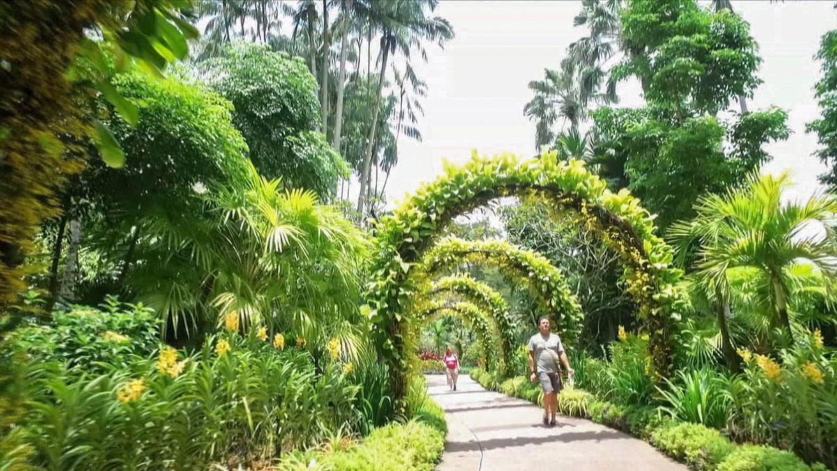 destination singapur - außergewöhnliche gärten