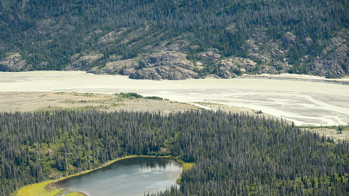 die schatzsucher - goldrausch in alaska