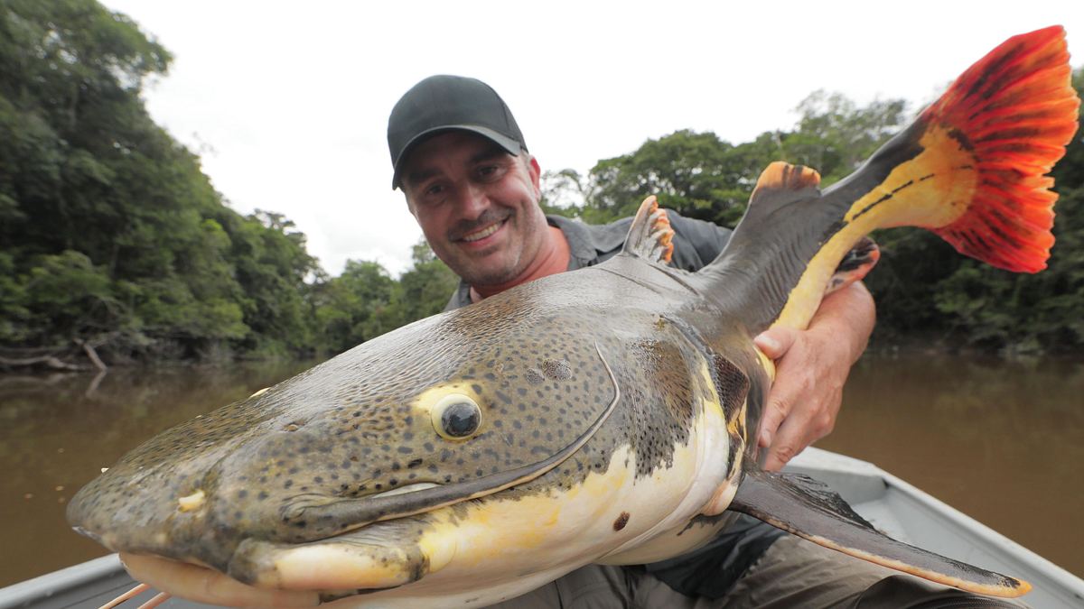 monsterfische am haken