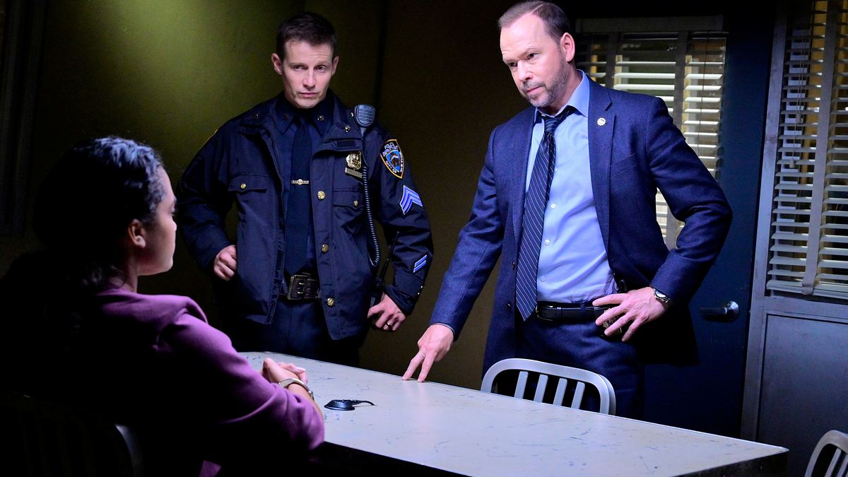 blue bloods - crime scene new york