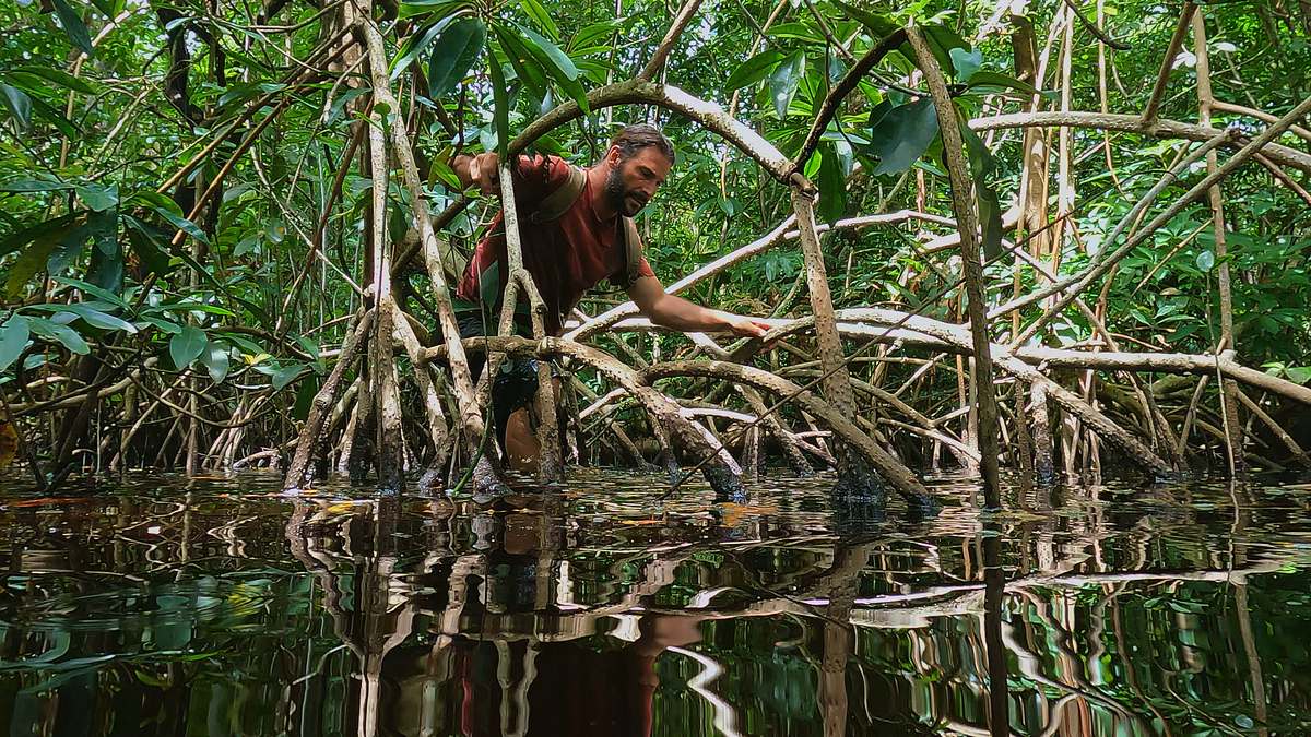 extreme survival mit hazen audel: wettlauf durch den amazonas