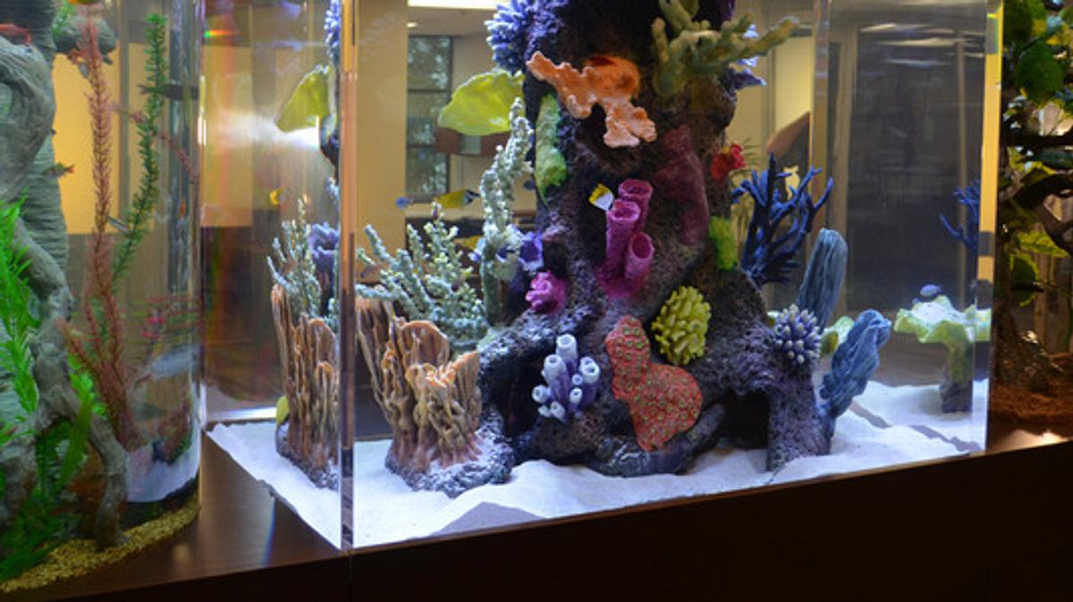 die aquarium-profis