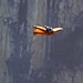 Modern Explorers Thumbnail