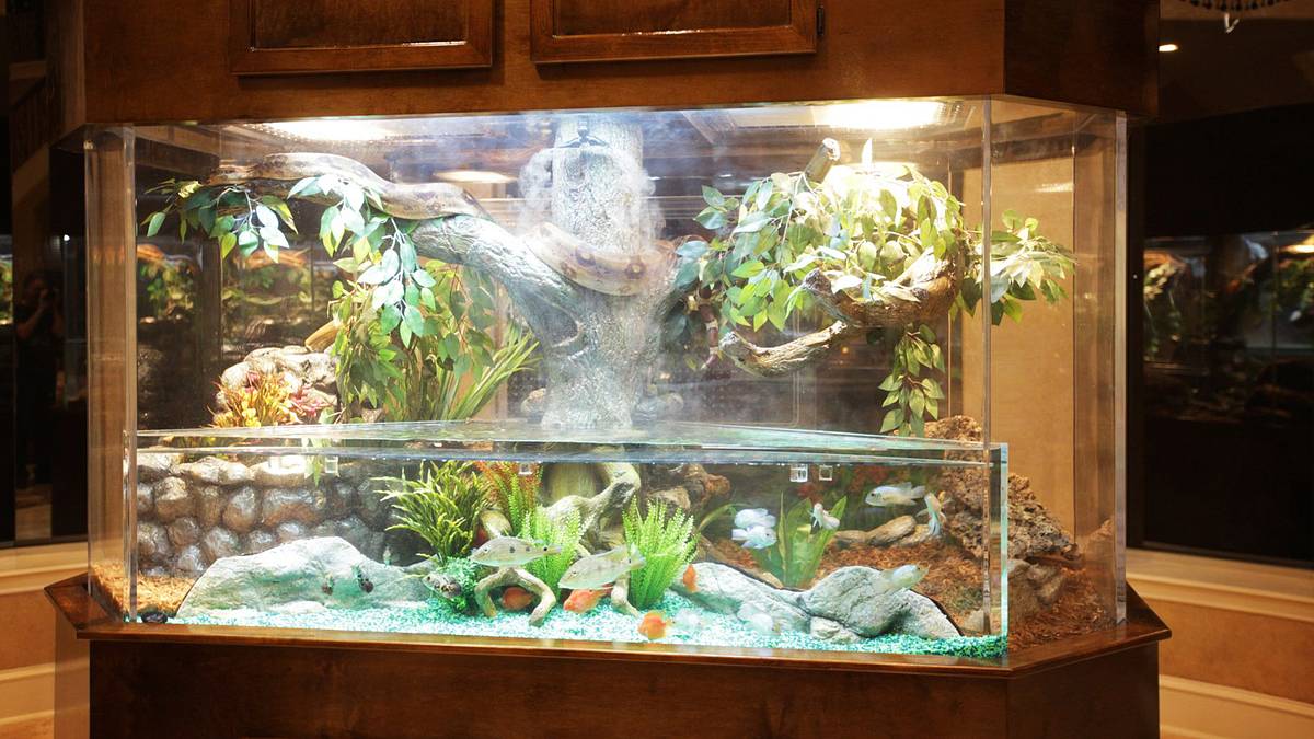 die aquarium-profis