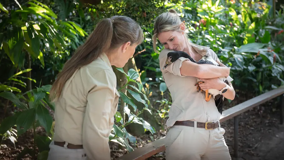 Die Irwins - Crocodile Hunter Family die irwins - crocodile hunter family
