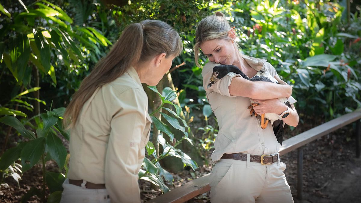Die Irwins - Crocodile Hunter Family die irwins - crocodile hunter family
