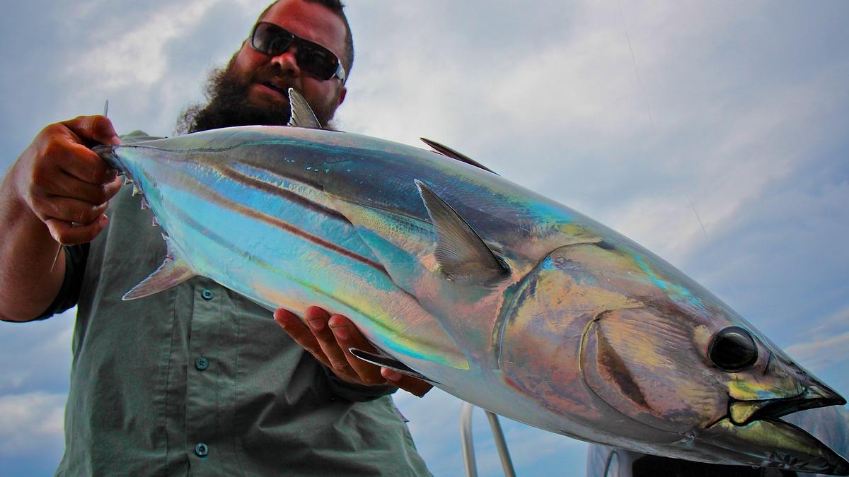 fish or die - angeltrip ins ungewisse