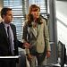 CSI: NY Thumbnail