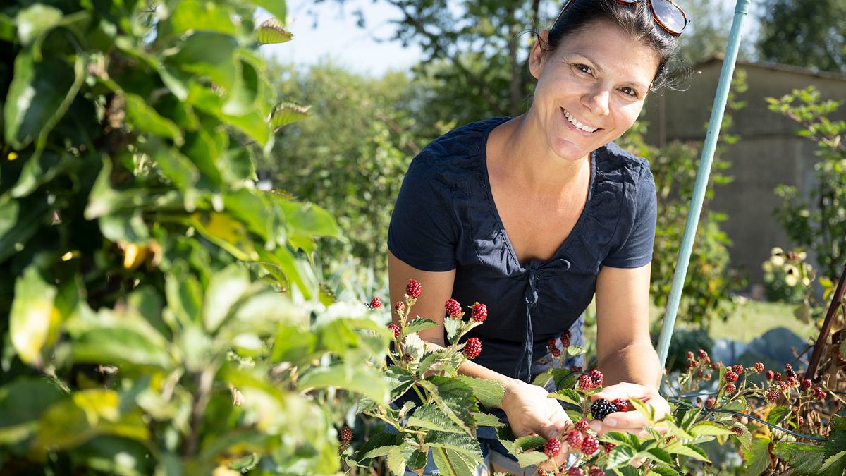 garten und lecker