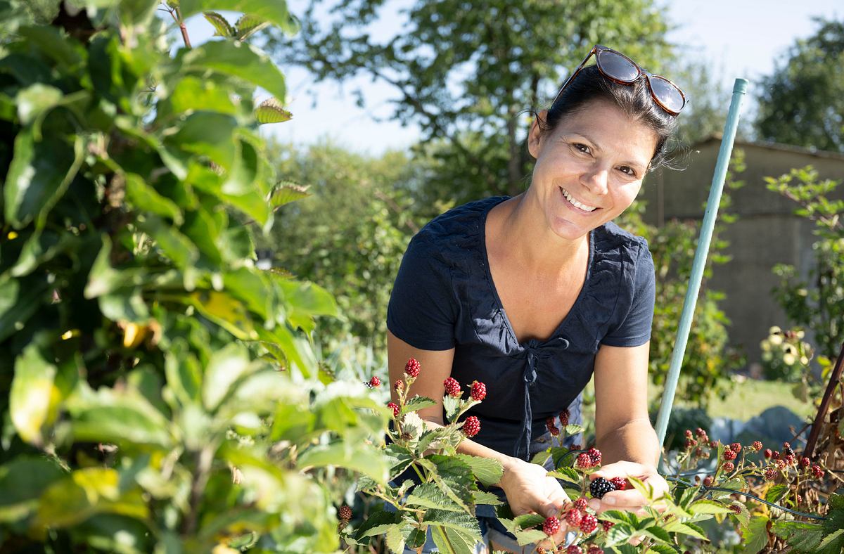 garten und lecker
