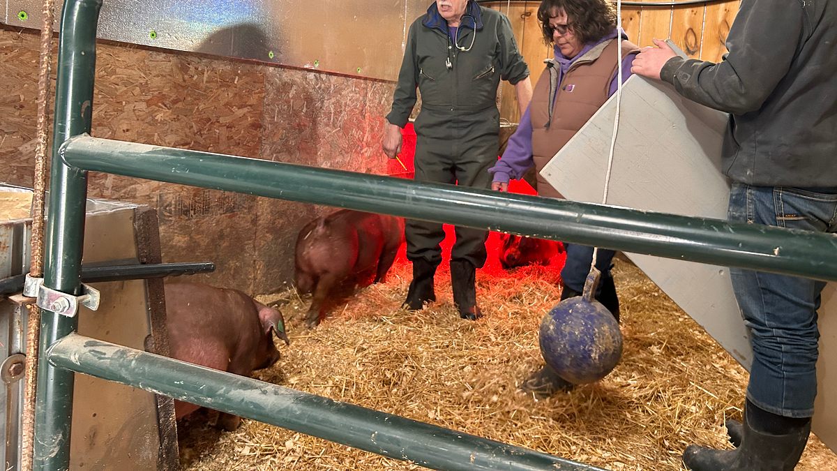 der unglaubliche dr. pol