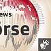 SRF Börse Thumbnail