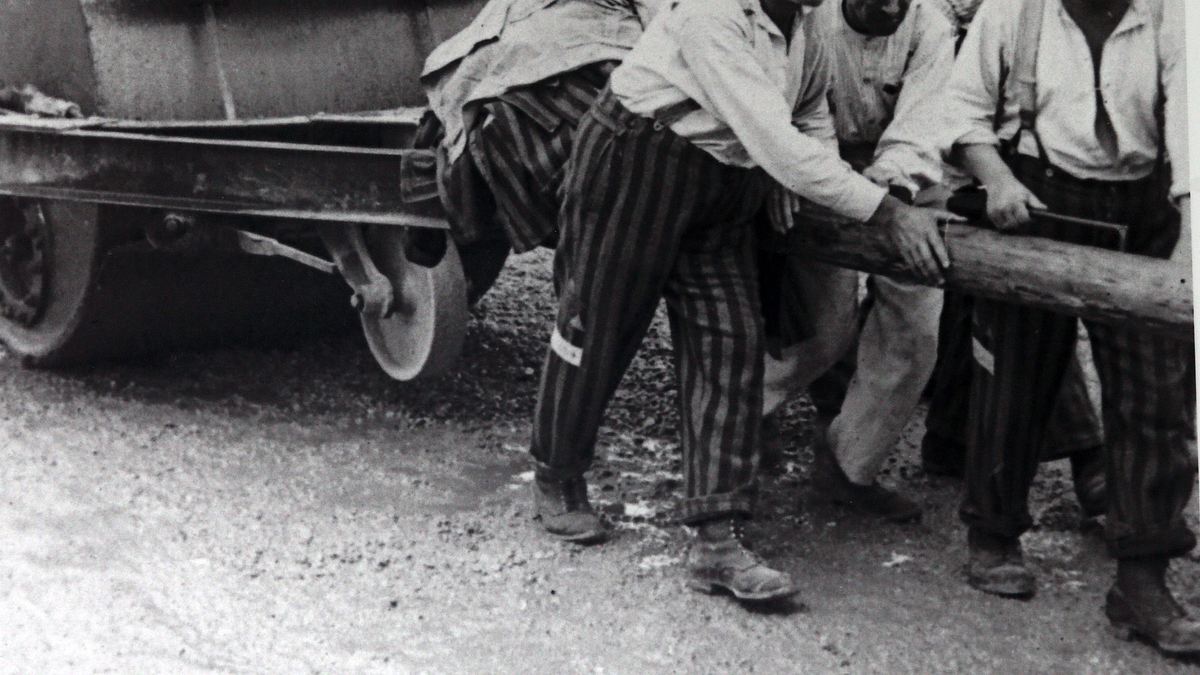 hitlers sklaven - die geschichte der ns-zwangsarbeit