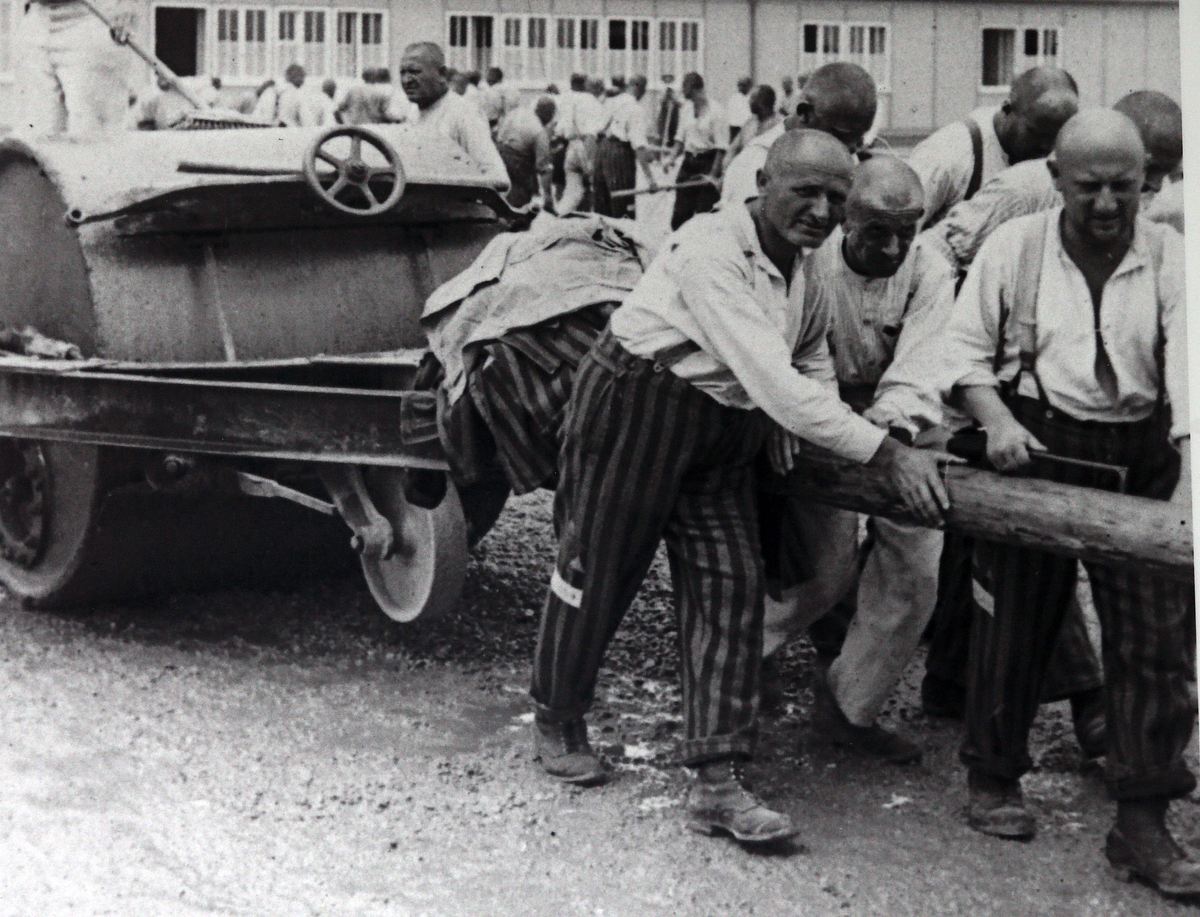 Hitlers Sklaven - Die Geschichte der NS-Zwangsarbeit hitlers sklaven - die geschichte der ns-zwangsarbeit
