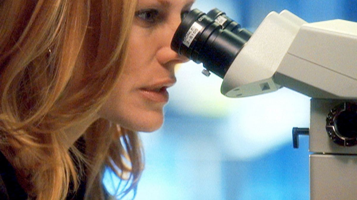 csi: den tätern auf der spur