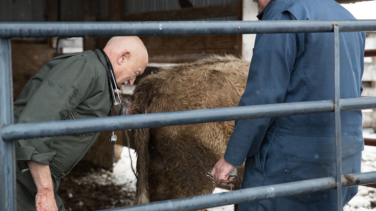 der unglaubliche dr. pol