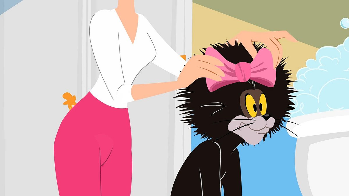 die tom und jerry show