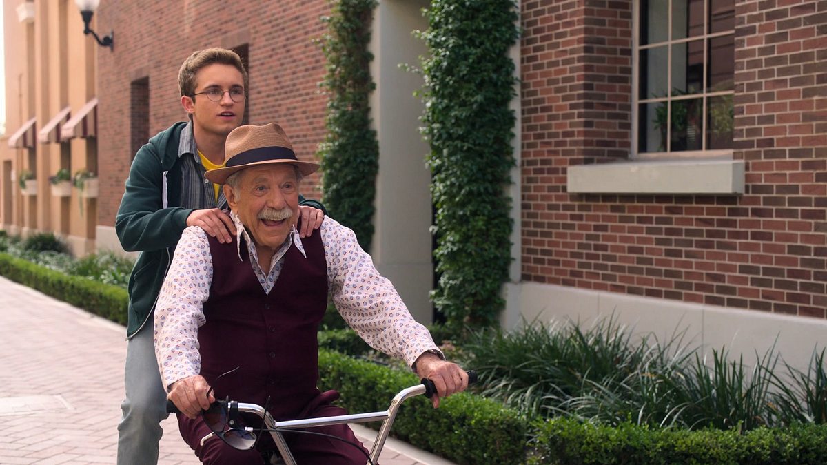 the goldbergs