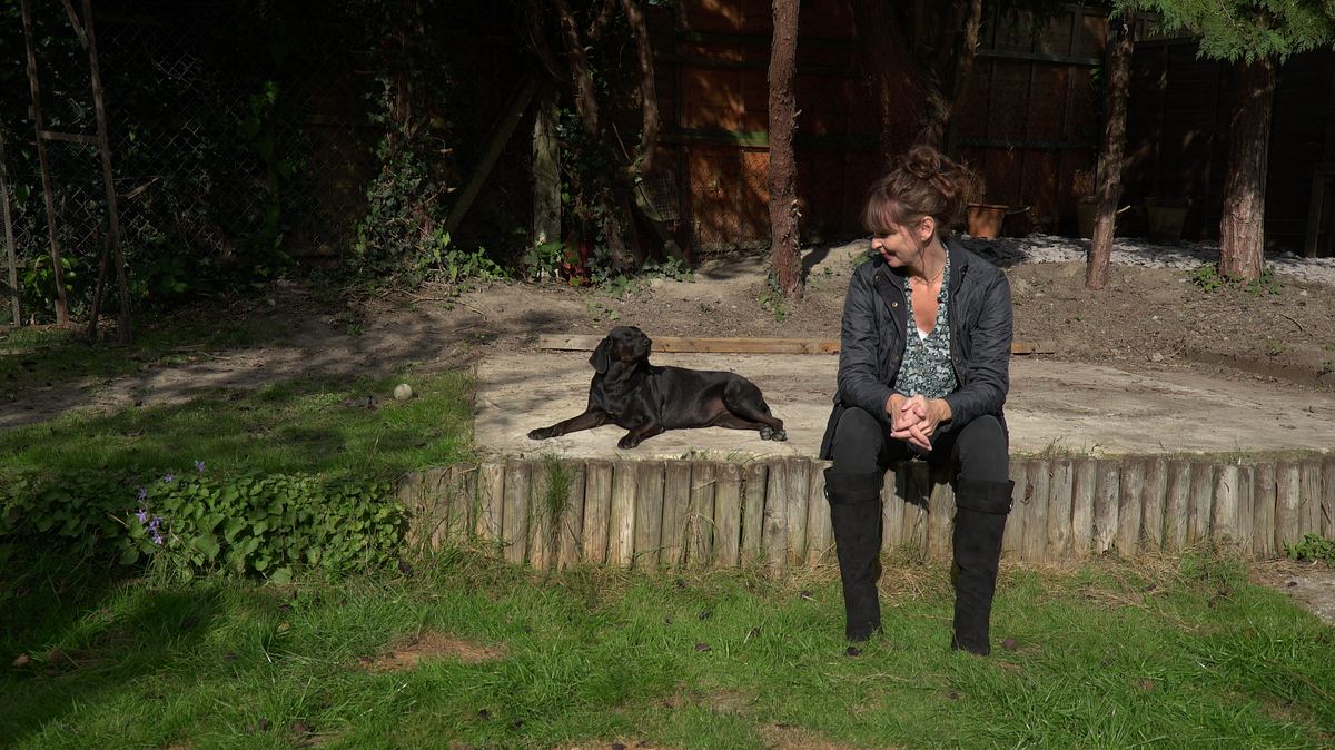 Der Hund oder ich! der hund oder ich!